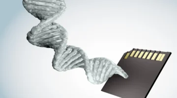 العلماء يبتكرون طريقة تقنية لاستخدام الحمض النووي بديلاً عن الأقراص الصلبة للتخزين